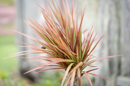 1700_A1_08812-Edit.jpg 1700_A1_08812-Edit.jpg