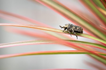 1700_A1_08812-Edit-2.jpg 1700_A1_08812-Edit-2.jpg