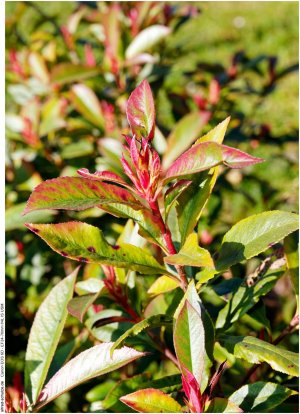 IMG_1841 (Kopie).jpg