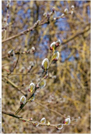 IMG_1845 (Kopie).jpg