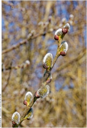 IMG_1847 (Kopie).jpg