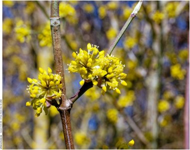 IMG_1861 (Kopie).jpg