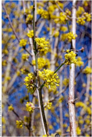 IMG_1868 (Kopie).jpg