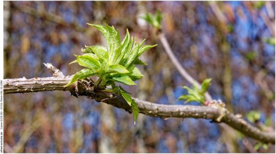 IMG_1872 (Kopie).jpg