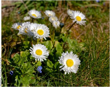 IMG_1881 (Kopie).jpg