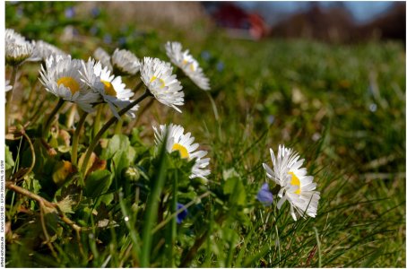 IMG_1887 (Kopie).jpg