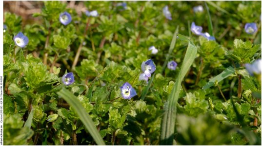 IMG_1888 (Kopie).jpg