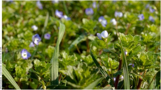 IMG_1890 (Kopie).jpg