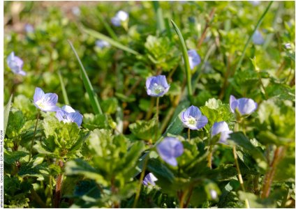 IMG_1893 (Kopie).jpg