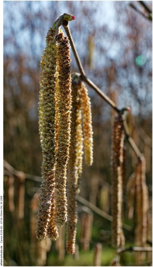 IMG_1900 (Kopie).jpg