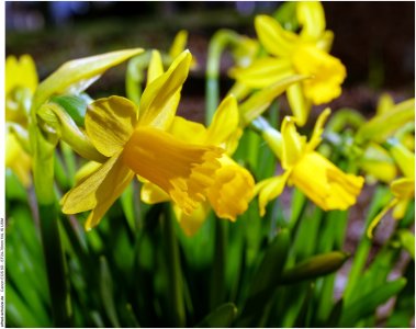 IMG_1902 (Kopie).jpg