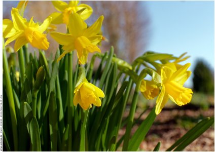 IMG_1905 (Kopie).jpg