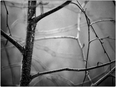 DSCF4067-sw-klein (1)_Sn.jpg