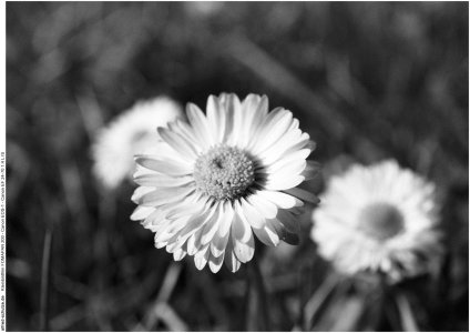 20260305 (24).jpg 20260305 (24).jpg