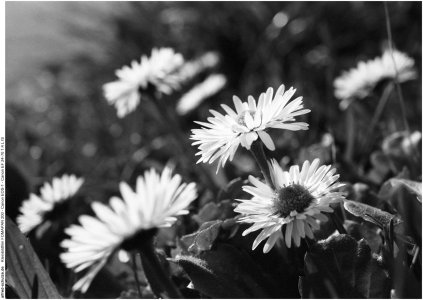 20260305 (26).jpg 20260305 (26).jpg