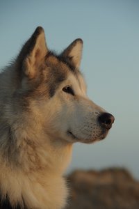 DSC_1516_forum.JPG DSC_1516_forum.JPG