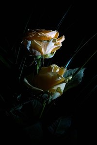 comp_SDIM2013_s1 Kopie.jpg