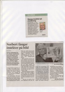 Smålands - Tidningen 1a.jpg