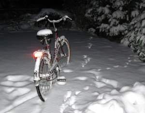 Warten auf den Frühling.jpg