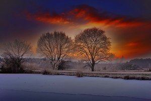 comp_winter_2.1.09_2 Kopie.jpg