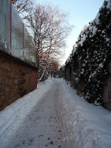 comp_DSCF0115.jpg comp_DSCF0115.jpg