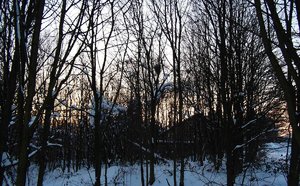 comp_DSCF0122.jpg comp_DSCF0122.jpg