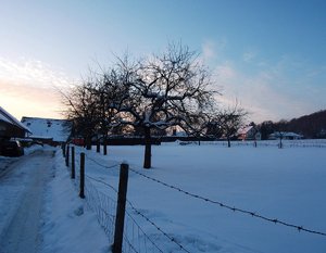 comp_DSCF0137.jpg comp_DSCF0137.jpg