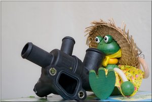 holzfrosch.jpg holzfrosch.jpg