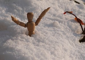 schneemichl1.jpg schneemichl1.jpg