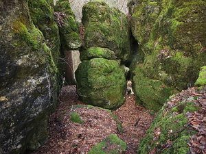 Franken16.jpg Franken16.jpg