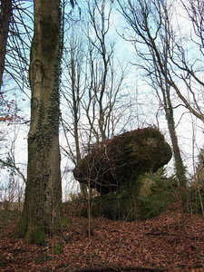 Franken18.jpg Franken18.jpg