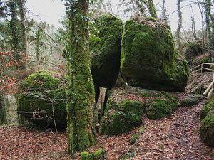 Franken19.jpg Franken19.jpg