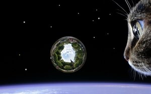 space_cat_large Kopie2.jpg space_cat_large Kopie2.jpg