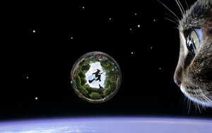 space_cat_large Kopie3.jpg