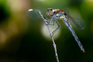 Sample 18.jpg Sample 18.jpg