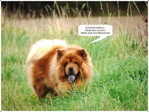 09 10 Bärenmarke reduziert.JPG