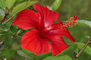 SDIM5241_1-1 Kopie.jpg