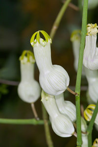 SDIM5255_1-1 Kopie.jpg