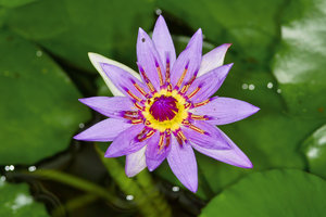 SDIM5265_1-1 Kopie.jpg