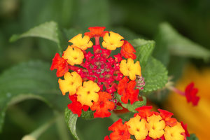 SDIM5310_1-1 Kopie.jpg