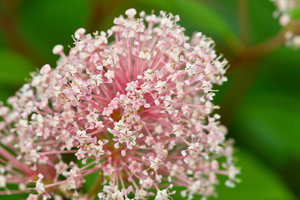 SDIM5311_1-1 Kopie.jpg