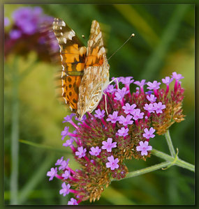 SDIM5365_1-1_hf Kopie Kopie.jpg