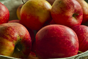 SDIM0452.jpg SDIM0452.jpg