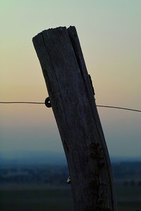 SDIM0348-copy.jpg SDIM0348-copy.jpg