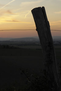 _DSC0260.jpg _DSC0260.jpg