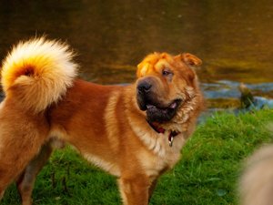 09 28 McEnroe im Abendlicht reduziert.jpg