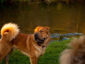 Mac I unbeschnitten.jpg