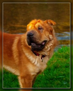 09 28 McEnroe im Abendlicht reduziert_1-1 Kopie_hf.jpg