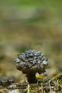 SDIM8231.jpg SDIM8231.jpg