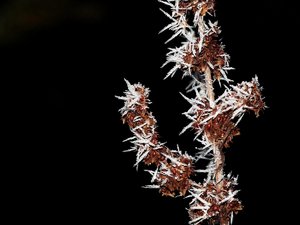 Spezial3.jpg Spezial3.jpg